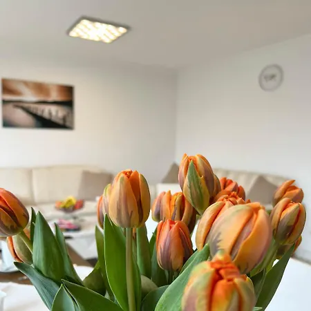 Leyla Eg *